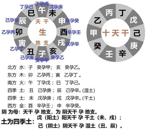 葵酉年|葵酉年是哪一年